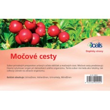Močové cesty